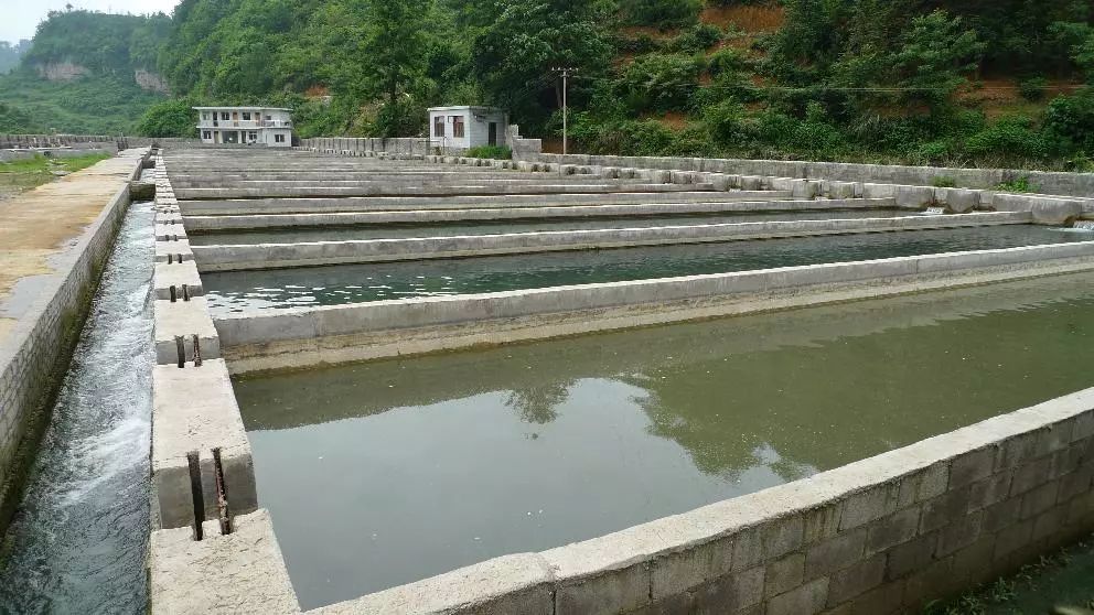 鱼类养殖的水质好坏从两方面来判定