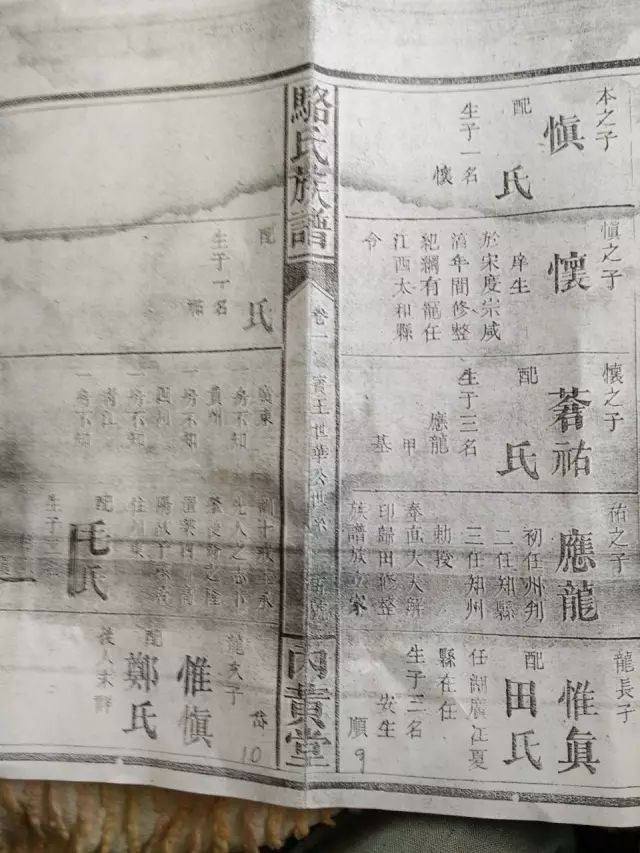 四川骆氏族谱图片