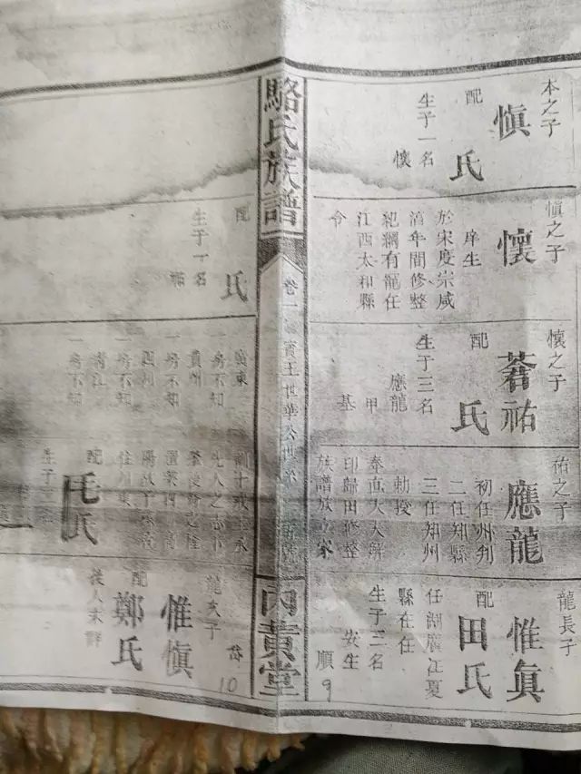 骆氏关于召开世华祖系族谱研讨会的通知