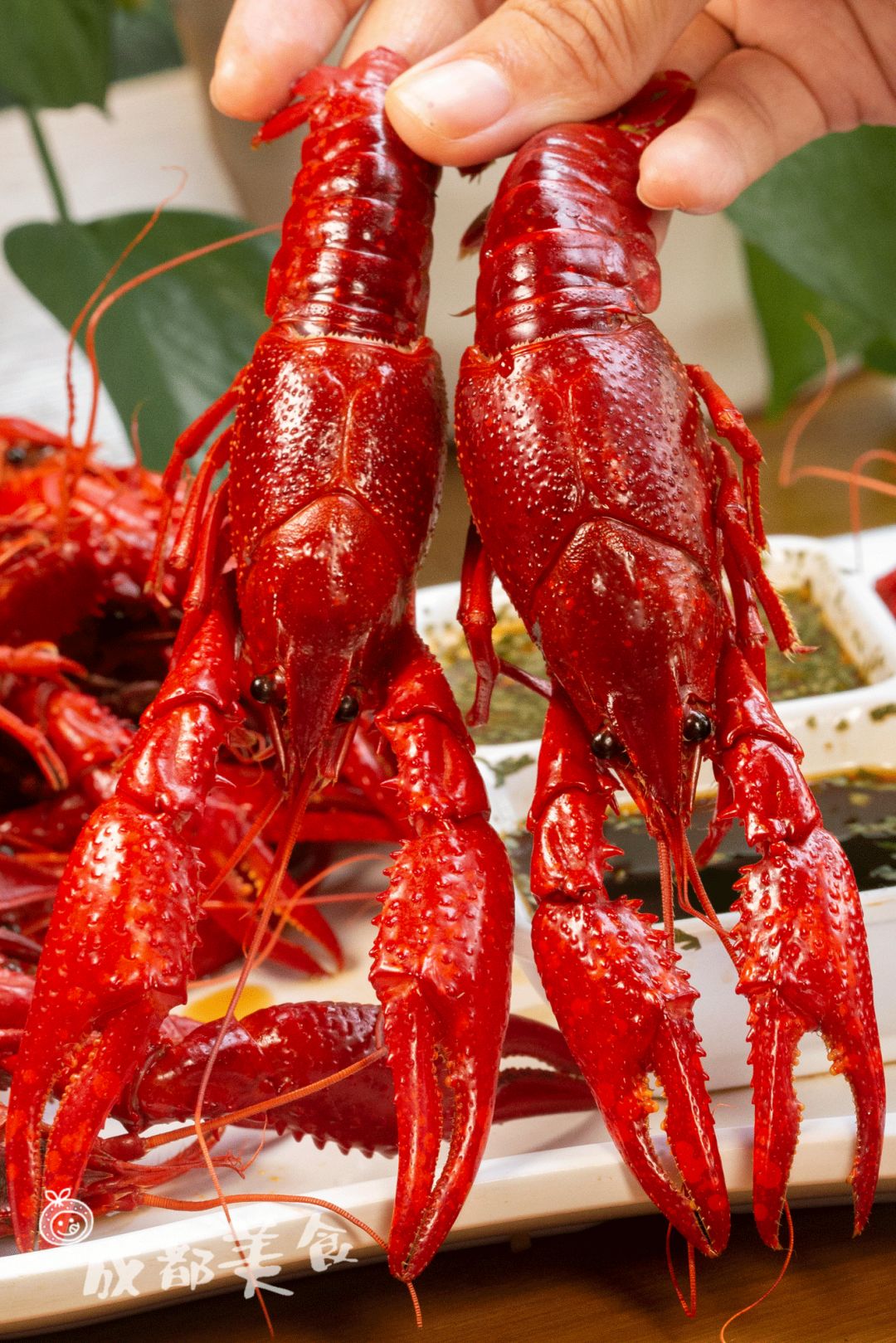 玉林的霓虹灯夜市开张了专卖小龙虾