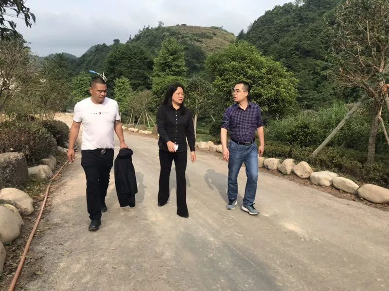 三单一周要情回顾1951319517