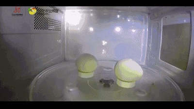 虽然鸡蛋爆炸不会起火,但炸满整个微波炉也是个很麻烦的事.