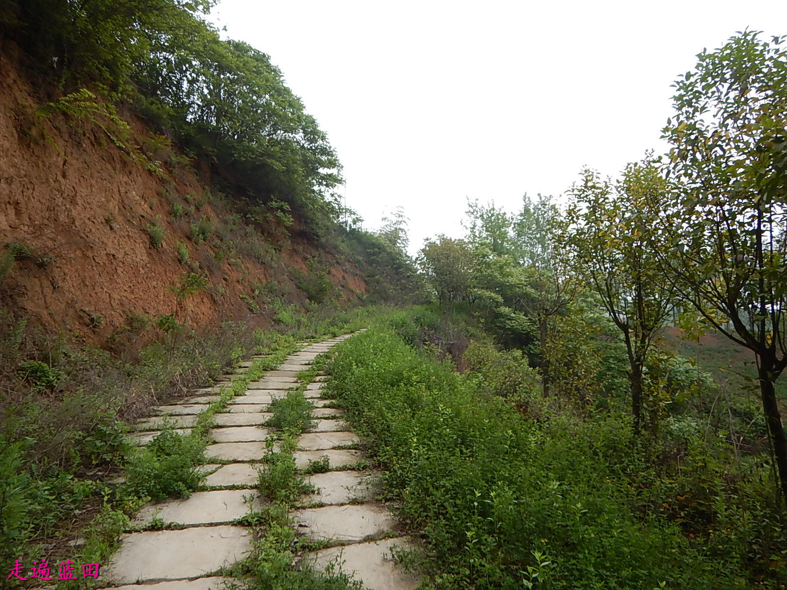 蓝田骆驼岭图片