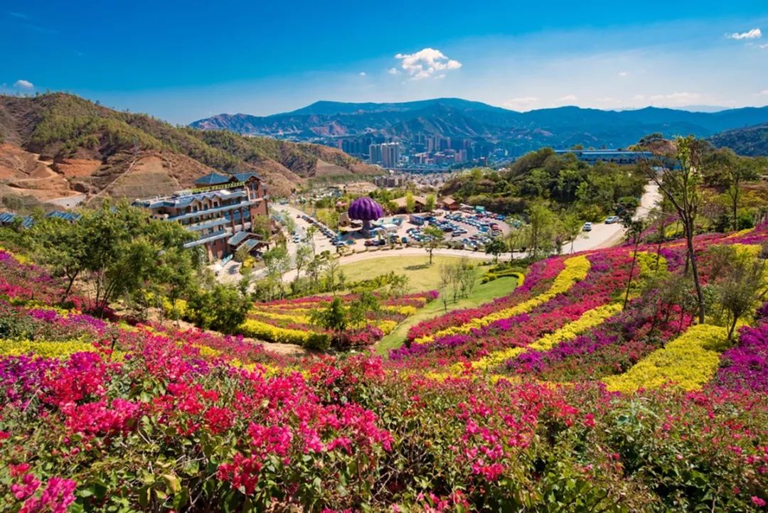 攀枝花旅遊必去景點(攀枝花周邊旅遊景點大全)