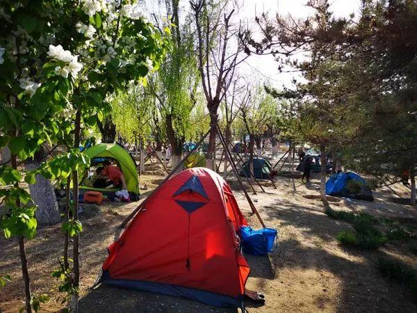 摄影:指尖叔叔南海子郊野公园非常适合露营,露营区在公园西南部的山林