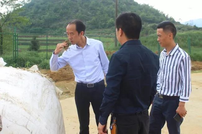 副县长宋邦达到乐治镇调研脱贫攻坚及产业结构调整工作