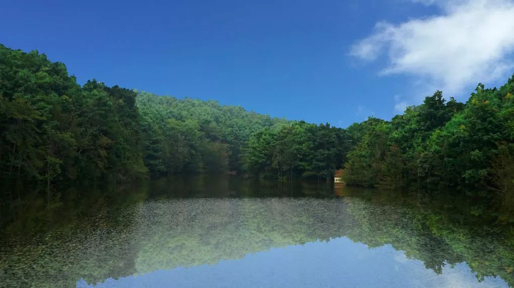 周末来磨盘山一起享23℃的清凉夏天!