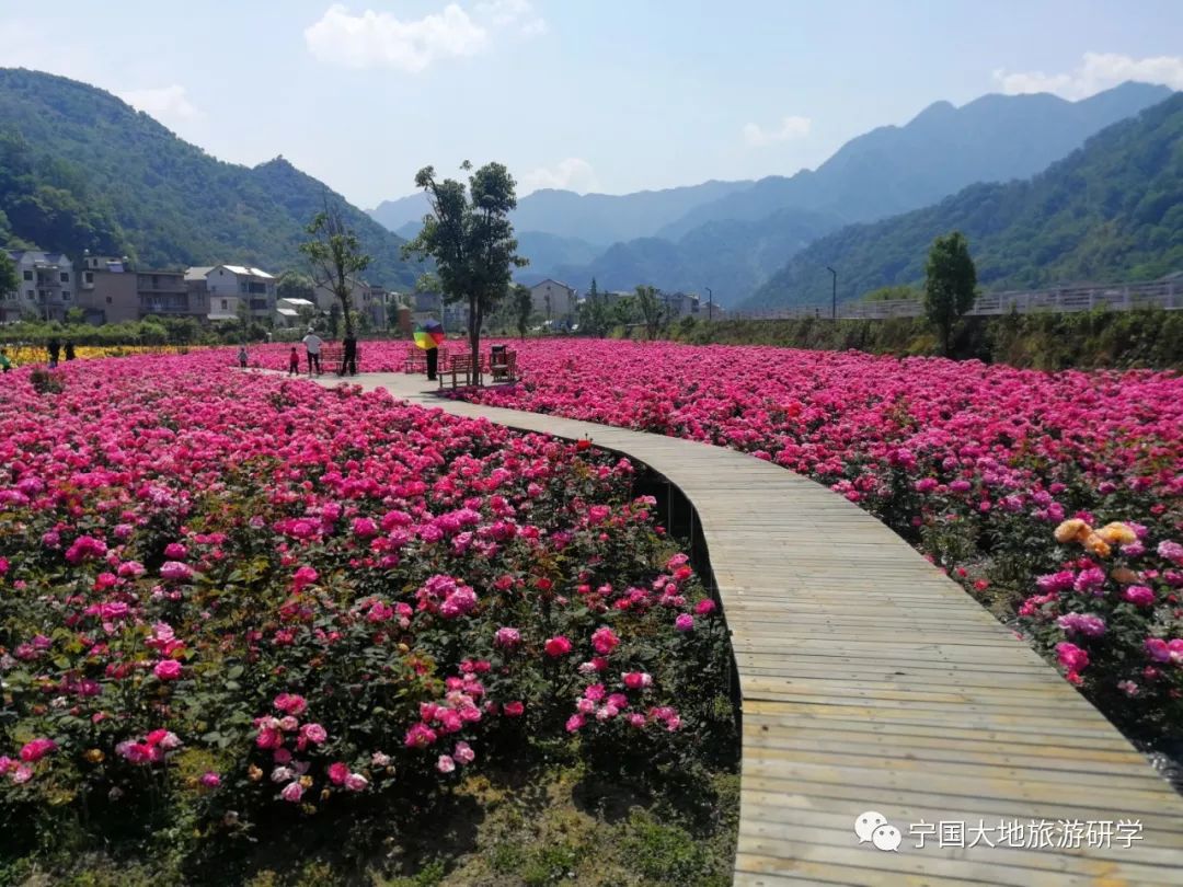 临安大明山玫瑰小镇一日游活动