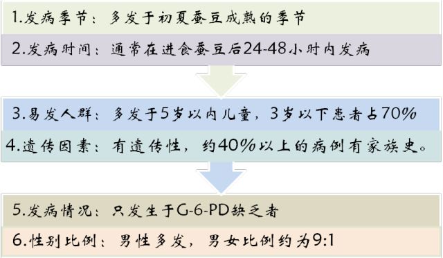 爸是蚕豆病遗传规律图图片