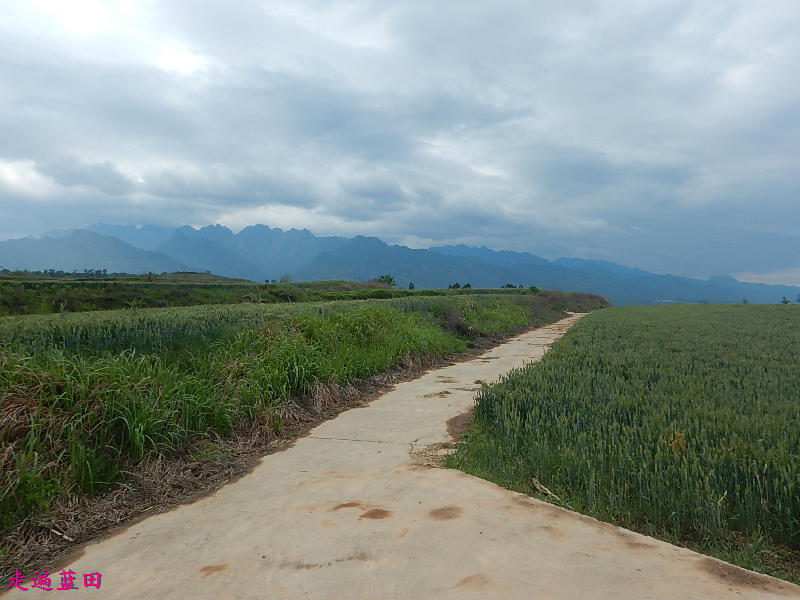 蓝田骆驼岭图片