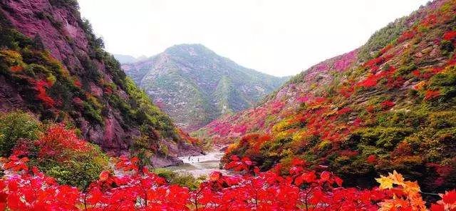 蛟河紅葉嶺國家森林公園景區,磐石市蓮花山國家森林公園景區,樺甸市