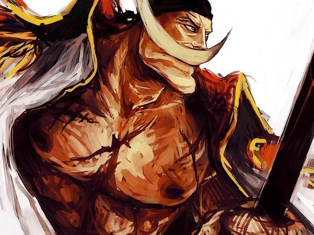 白胡子的死是壮烈的,在顶上战争中,白胡子总计承受刀伤267处,子弹152