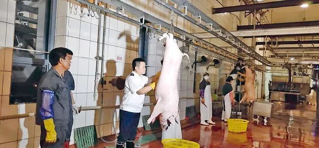 本台记者探访儋州放心猪肉上市全过程