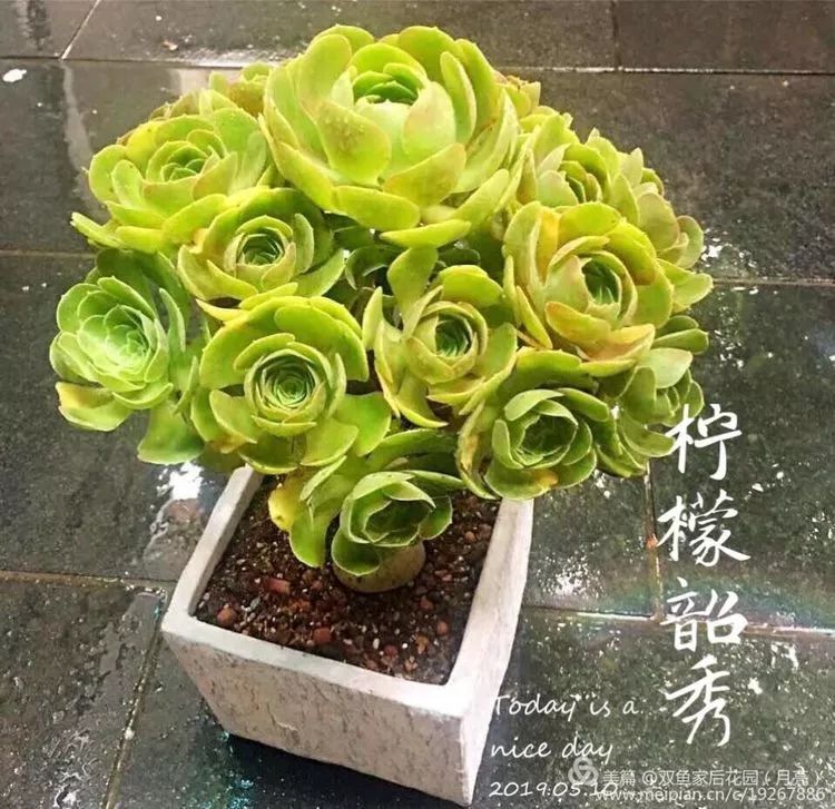 法师品种大全第二章热爱法师的玩家必不能错过