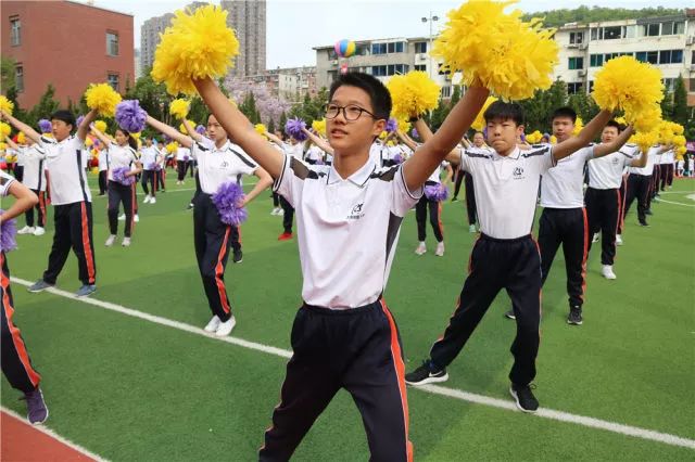 大连明星小学校徽图片