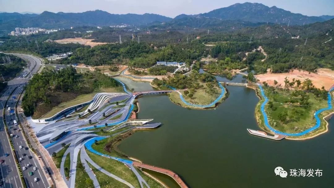 打卡金色花海网红天鹅就藏身珠海这个地方