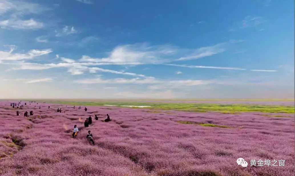 湖光山色最美余干余干旅游宣传片震撼发布