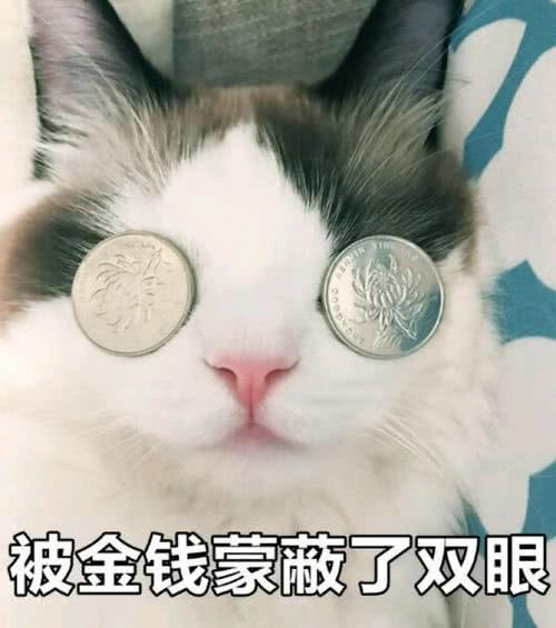 咪表情包:我已经被金钱蒙蔽了双眼!