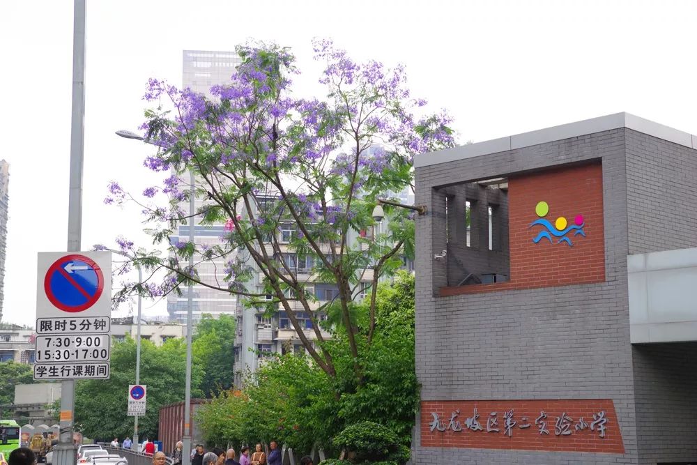 杨家坪小学△万科西九△石坪桥游园来源:九龙坡城市管理相关作者请