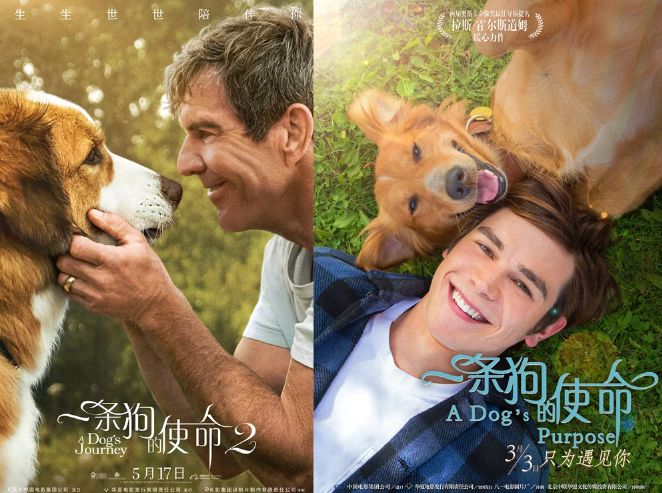 张电影票 | 那条生生世世都为主人做僚机的狗狗,又来收割眼泪了_贝利