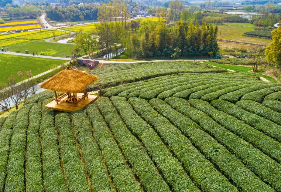 小镇产业悠然南山下蓝农镇当时