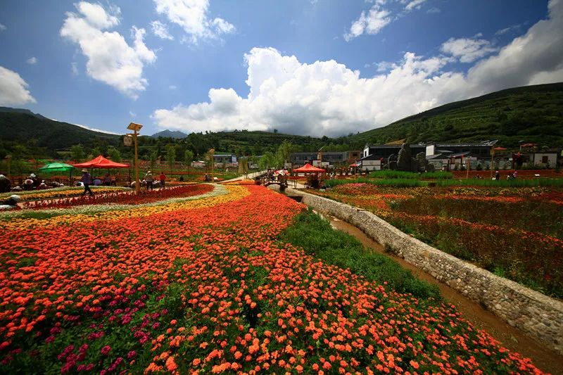【一会一节】我们在山水冶力关等你!_冶力关镇