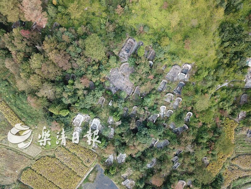 原济头村至黄坦坑水库沿线道路旁50余亩土地上约有600座"椅子坟",大量