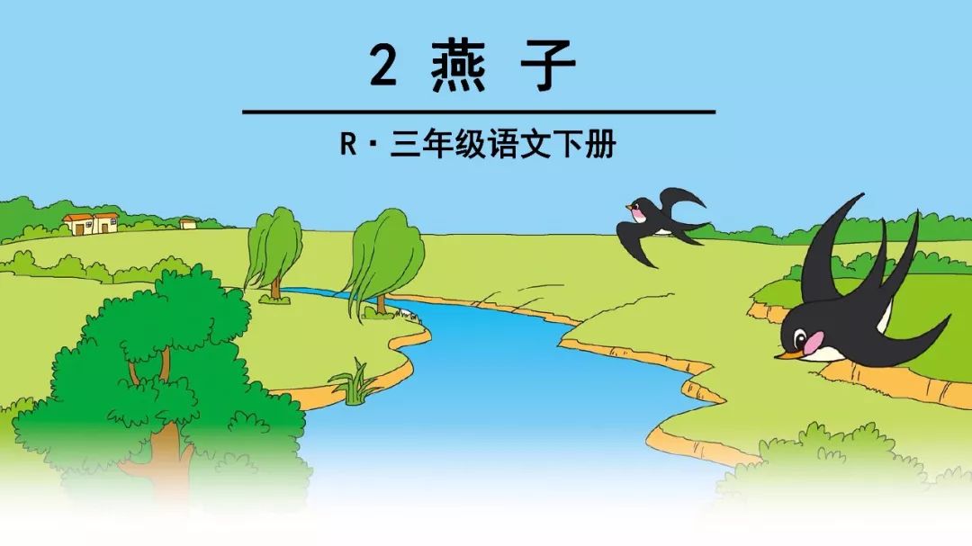 三年级上册语文燕子图片