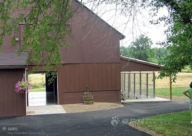 最美犬舍集合有建造犬舍的老铁可参考