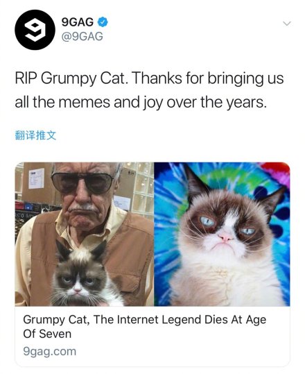 表情包不爽猫去世生前狂揽1亿美元曾入驻杜莎夫人蜡像馆