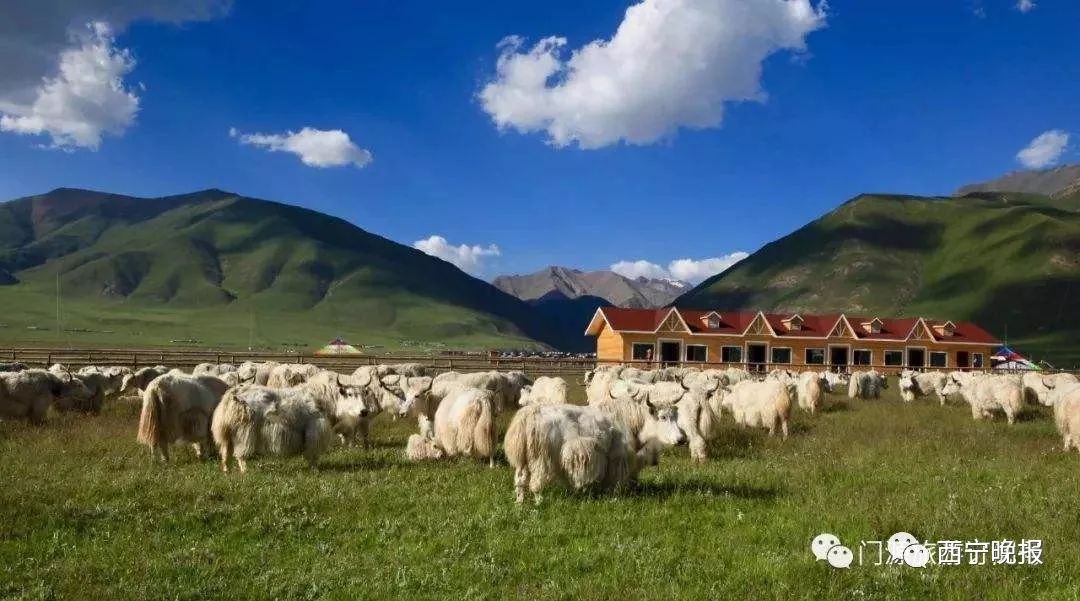 乐都人本周末出门浪青海多家景点都免门票