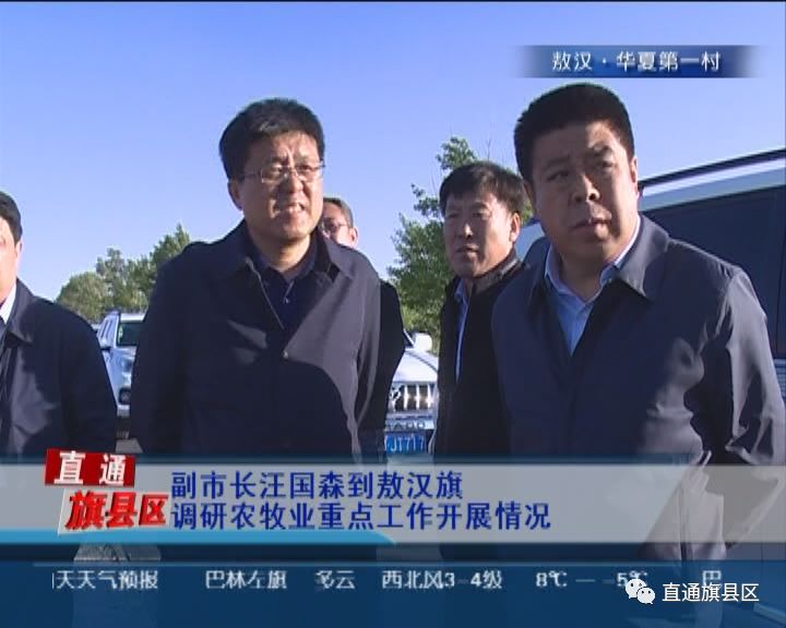 副市长汪国森到敖汉旗调研农牧业重点工作开展情况