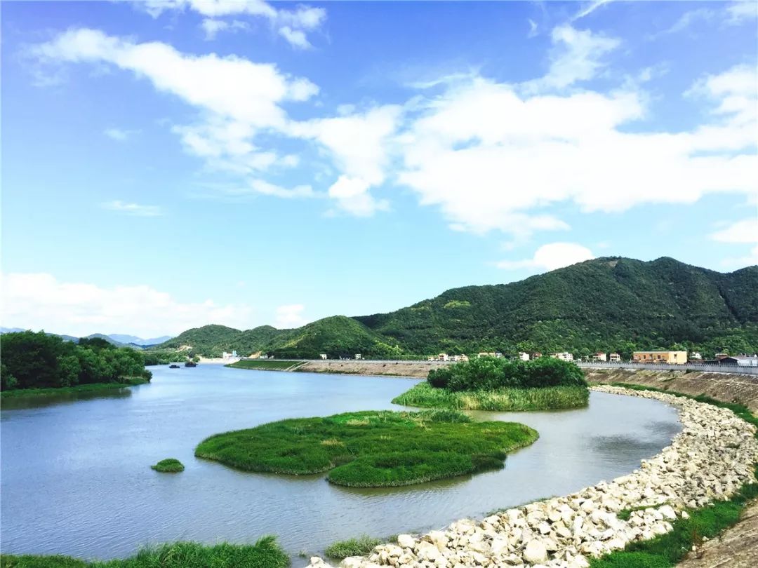 浦阳江畔一路向前!"交投杯"第一届毅行活动在这里绚烂开场!