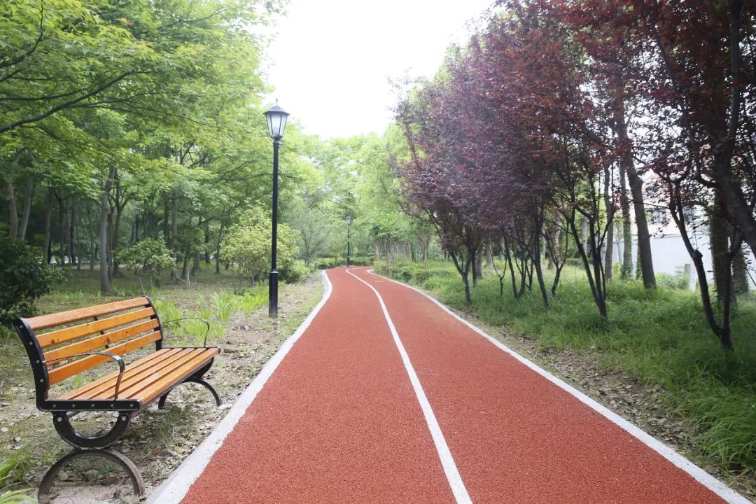 据悉,近年来,方松街道不断加快建设健身步道,以满足社区居民们日益