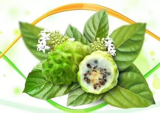 肝是哑巴胃是喇叭