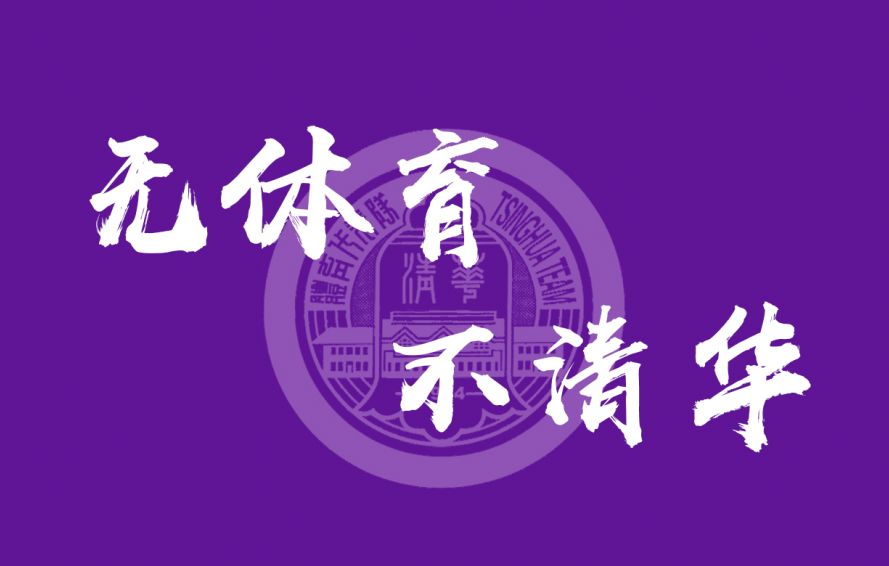 助威小旗子让清华紫点燃地大的田径场!用欢呼声掀翻地大的田径场!