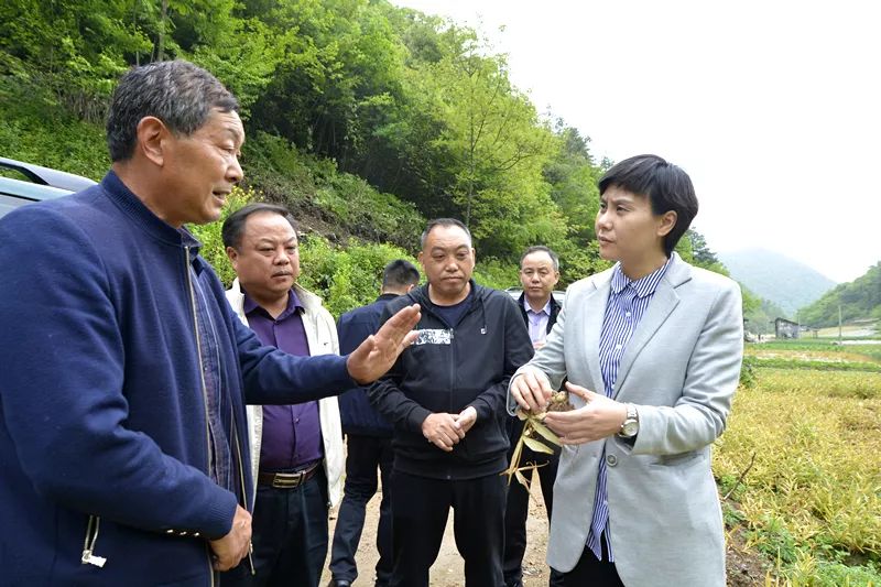 巴东县长郭玲个人资料图片