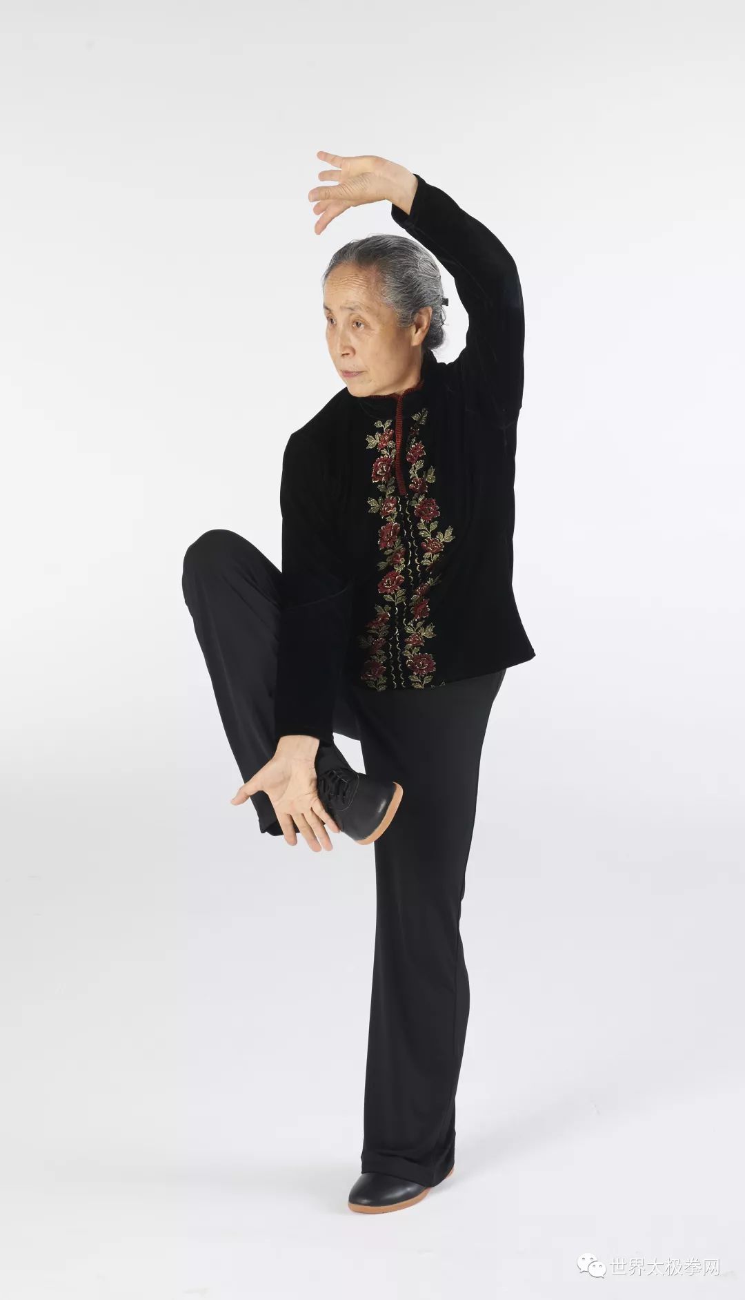 武林传奇数十年,南山一武见真颜_苏自芳