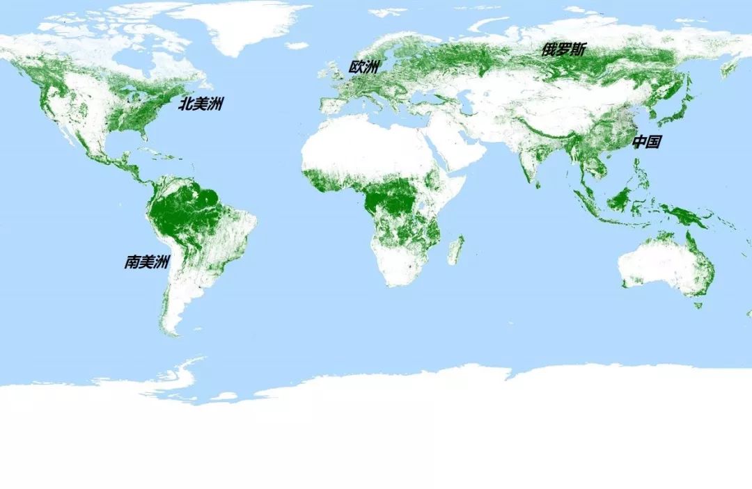 世界森林分布示意图图片
