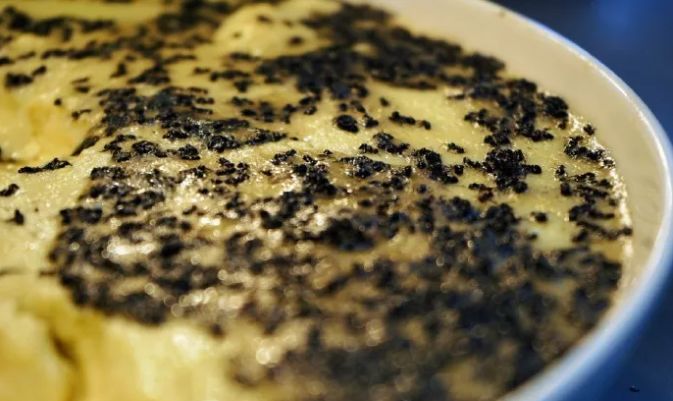 "蚂蚁蒸鸡蛋"!安徽一高校食堂推出新菜品,你敢吃吗?