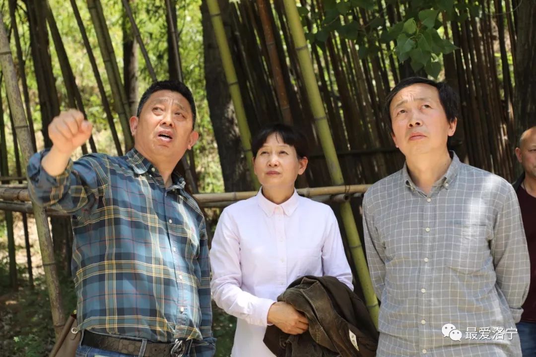 洛宁水质666近日又吸引了一群名人涌向这里