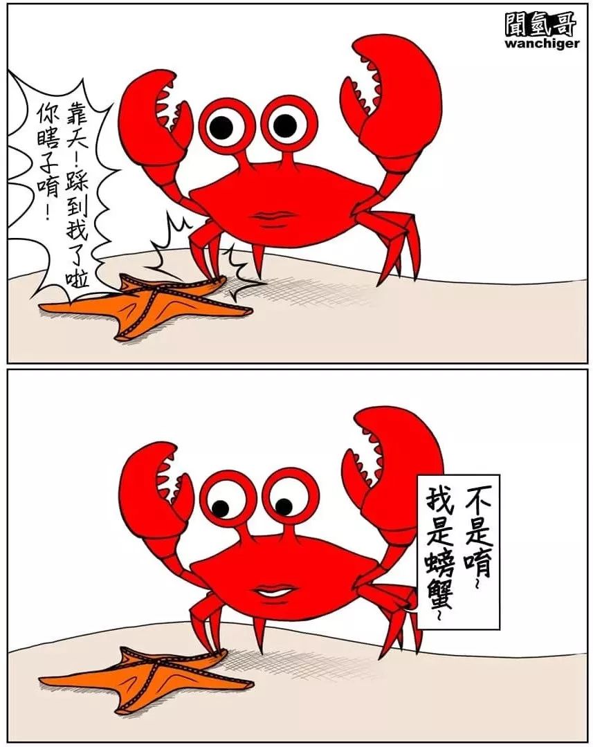 ▼不是哟,我是螃蟹~你踩到我啦,你瞎吗?