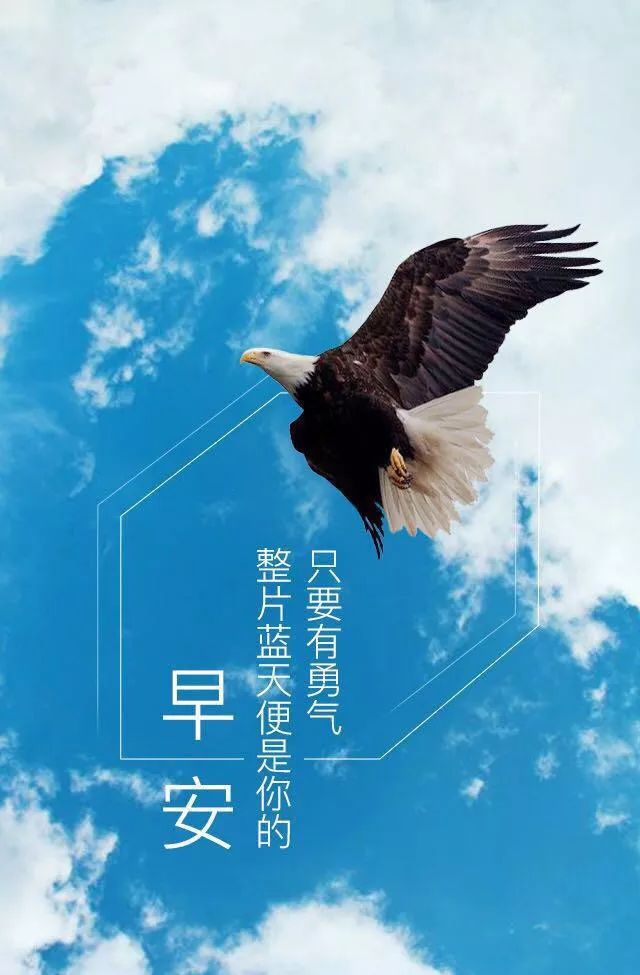 周末早安心语正能量很潮语录 特美的早上好图片正能量励志
