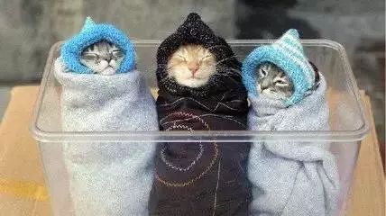 天气这么冷,羽绒服,毛棉裤赶紧穿起来!