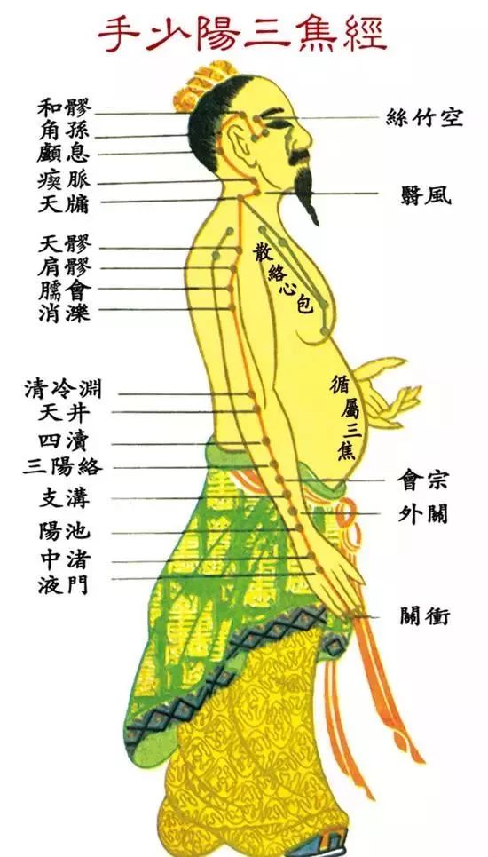 手少阳三焦经循行图,手少阳三焦络图,手少阳三焦循行路线_文秘苑图库