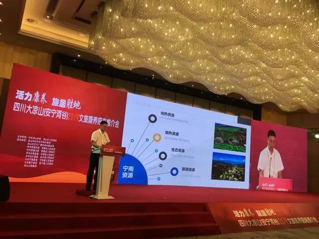 宁南县人民政府县长王潇作项目推介