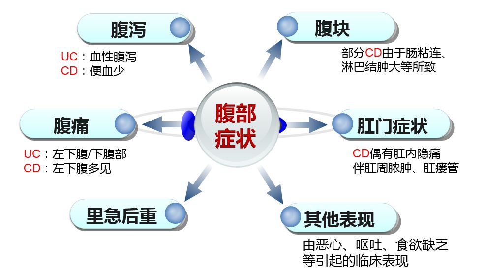 武田新知丨一文带你get炎症性肠病