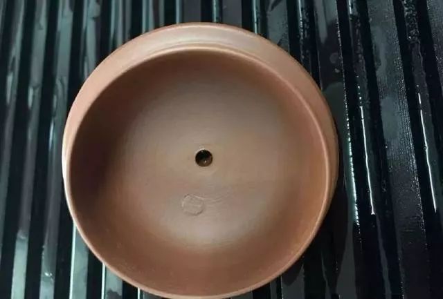 滋泥是什么,螺旋纹能判断真假吗?