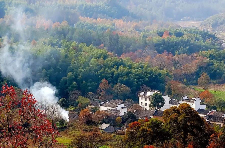 不在农村住了,为什么很多人还要回老家盖一栋新房?(好文)