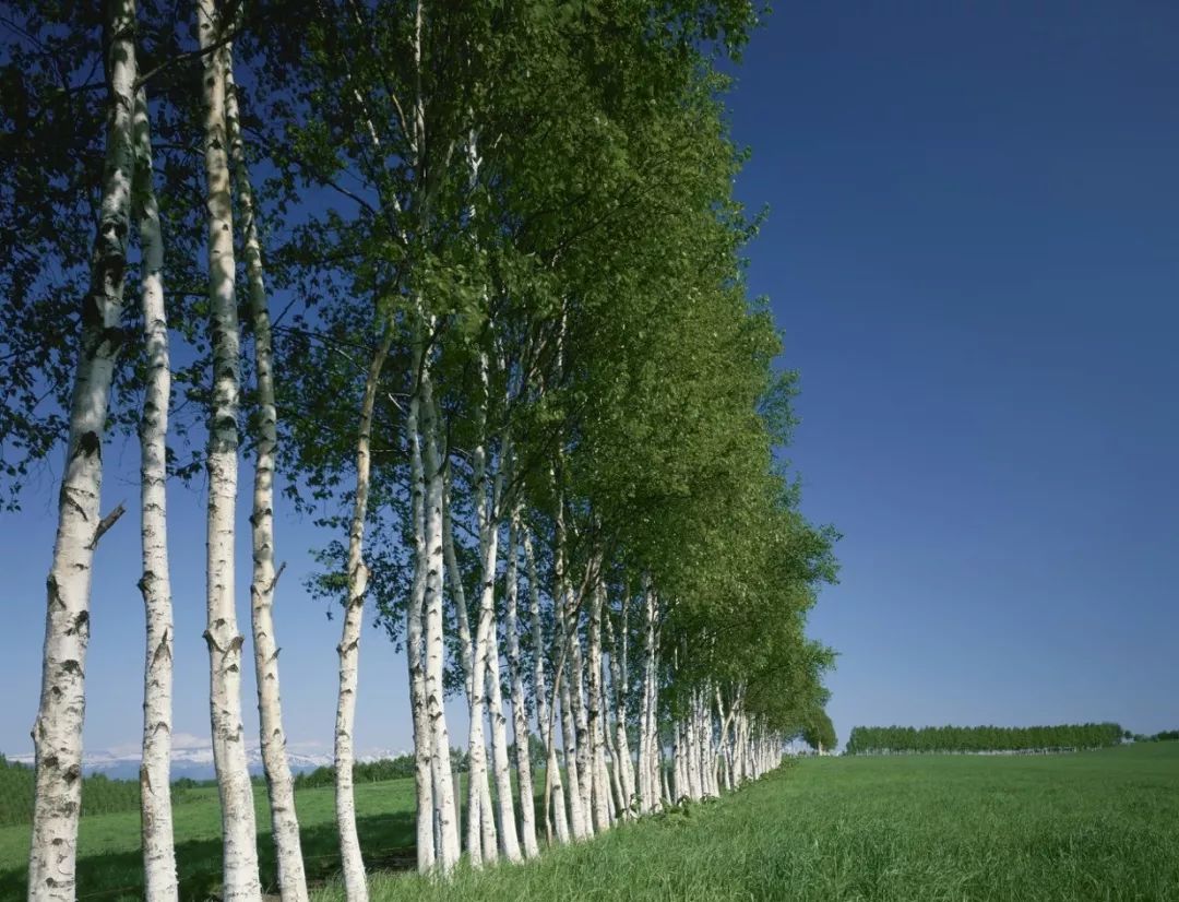 渐变的形式,在日常生活中随处可见,是一种很普遍的常见的视觉形象.